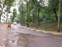 Blk 543 Jelapang Road (Bukit Panjang), HDB Executive #205082421